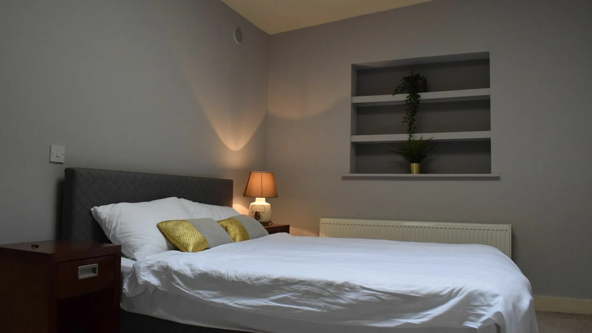 1 Bedroom Apartment With Balcony In Dublin